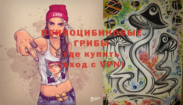 не бодяженный Аркадак