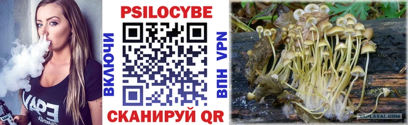 Псилоцибиновые грибы MAGIC MUSHROOMS  как найти закладки  Семикаракорск 